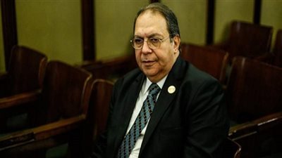 برلماني: الشرطة المصرية حافظت على الوطن بشهادة العالم