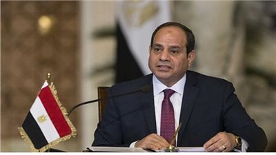 عاجل.. الرئيس السيسي: أول دعم حصل عليه الصندوق ليس من مصر (فيديو)
