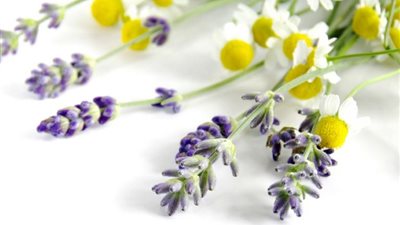 جربي خلطة البابونج لشعر طويل وناعم