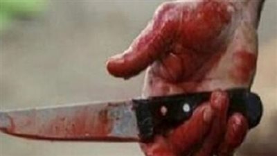 بسبب خلافات مالية.. السجن سنة لعامل قتل شقيقه طعنا ببولاق أبو العلا
