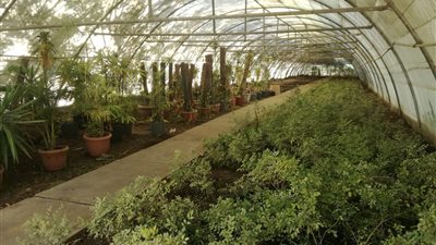 تحويل مشتل تابع لوزارة البيئة لنموذج بيئي للتنمية المستدامة