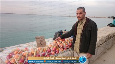 طبق فاكهة بـ 5 جنيهات.. هكذا تسترزق عائلة إسكندرانية بكورنيش الثغر (فيديو وصور)