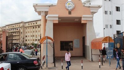 ترشيح جامعة بني سويف لعضوية اتحاد الجامعات الأفريقية