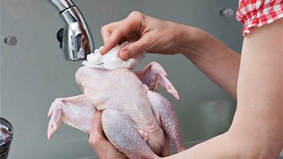 دراسة تحذر من غسل الدجاج قبل طهيه.. تعرف على الأسباب (فيديو)