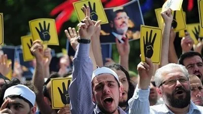 آخرهم إلغاء حصانة شيخ الأزهر.. شائعات 