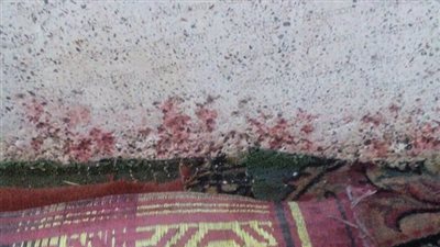 إمام المسجد المُقتحم بأسيوط يكشف تفاصيل جديدة عن الواقعة