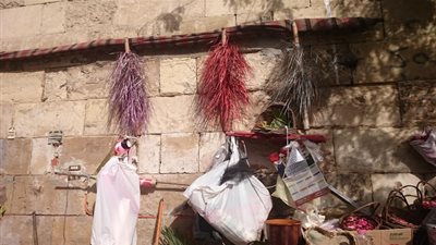 بائع الحب يبحث عنه.. 