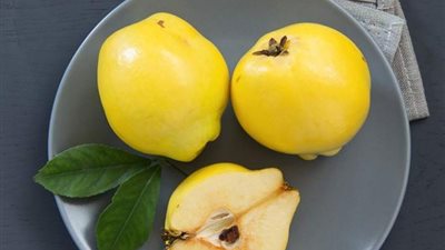 للحامل.. تعرفي على فوائد فاكهة السفرجل المذهلة 