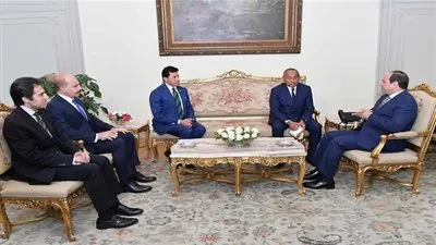 أحمد أحمد في ضيافة الرئيس السيسي