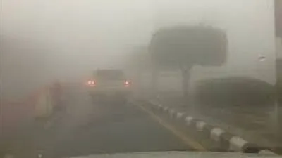 عسير.. أمطار شديدة وضباب كثيف يحجب الرؤية في 