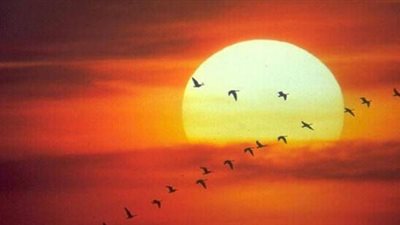 هل تتوقع سقوط أمطار تصل لـ