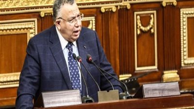 وفد برلماني برئاسة 