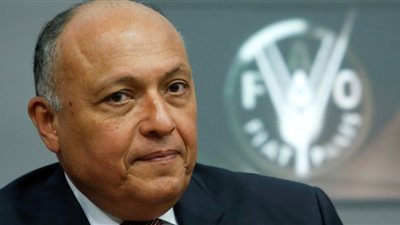 وزير الخارجية يكشف حقيقة عودة سوريا لجامعة الدول العرية