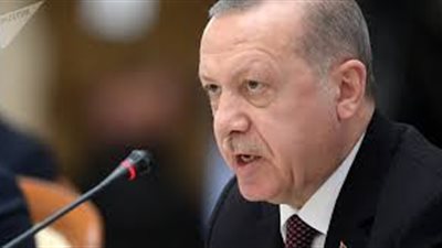 أستاذ علاقات دولية: استياء أنقرة من القمة العربية الأوروبية دليل على نجاح الدبلوماسية المصرية