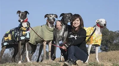 حقوق الحيوان فى إسبانيا تدين قتل 50 ألف كلب سنويا