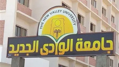 رئيس جامعة الوادي الجديد يفتتح وحدة لمكافحة العنف ضد المرأة