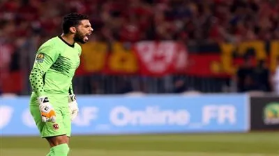 كوميكس.. طبيب الأهلي يصدم شريف إكرامي (صور) 