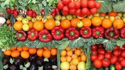 عبدالحميد الدمرداش: 90% من صادرات مصر الزراعية خضر وفاكهة