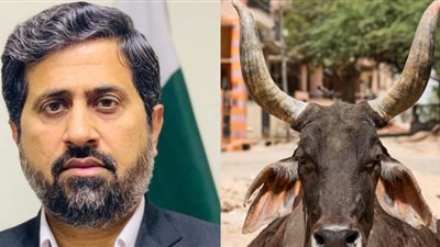 إقالة وزير باكستانى وصف الهندوس بـ