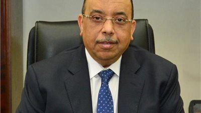 وزير التنمية المحلية: نهتم بتفعيل التعاون مع القارة الأفريقية في مجال المحليات