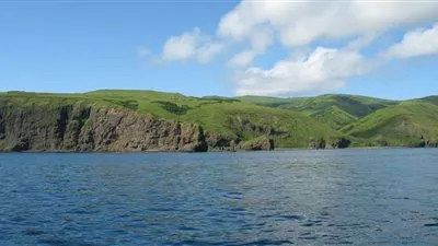 إصابة 87 شخصا باصطدام عبارة نفاثة بحوت في بحر اليابان