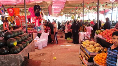 محافظ سوهاج: تنفيذ 12 ألف مشروع للشباب بمليار و210 مليون جنيه