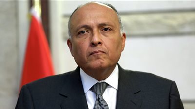 وزير الخارجية من البرلمان: رعاية مصالح المصريين بالخارج أولوية لدى الوزارة