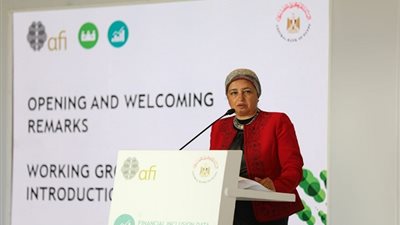 البنك المركزي يستضيف اجتماعات مجموعتي عمل للتحالف الدولي للشمول المالي 