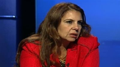 أستاذ علوم سياسية: ثورة 19 وضعت أسس الدولة المدنية الحديثة