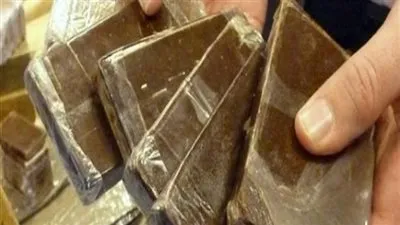 إحباط محاولة تهريب 6.5 طن حشيش إلى داخل البلاد عبر السواحل المصرية