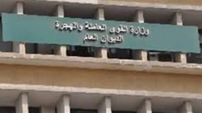 براتب 2600 جنيه.. شركة أمن تعلن عن حاجتها لـ