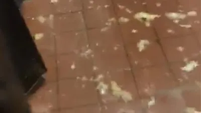 أمانة الرياض تغلق مطعما للوجبات السريعة