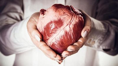 هل تعلم لماذا لا يصاب القلب بالسرطان؟.. السبب صادم!