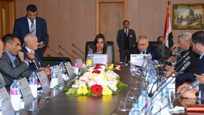 محافظ دمياط تلتقي أطباء المخ والأعصاب بأيرلندا (صور)