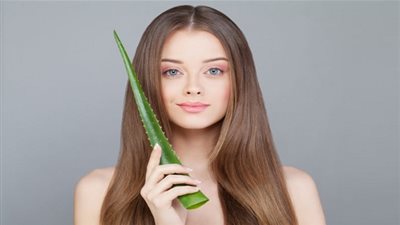 تعرفي على أهم فوائد خلطة الصبار للشعر الجاف