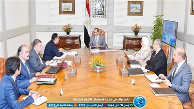  السيسي يوجه بالانتهاء من إجراءات إصلاح وحوكمة شركات الأدوية بقطاع الأعمال العام