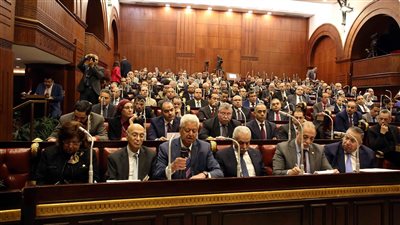 نائب رئيس محكمة النقض: نؤيد التعديلات الدستورية المتعلقة بالسلطة القضائية