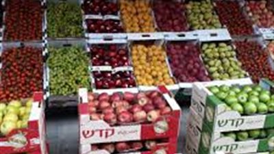 ننشر أسعار الخضروات والفاكهة ببورسعيد