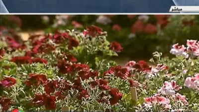 مدير معهد البساتين: المنوفية أفضل المحافظات إنتاجا للنباتات العطرية والطبية