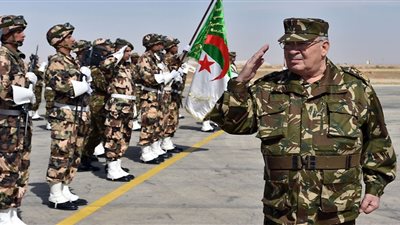 الجيش الجزائري: يجب إيجاد حل للخروج من الأزمة حالا