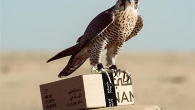 50 صقراً لتوصيل الطلبات للمنازل في السعودية والإمارات