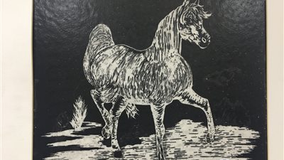 شاهد.. 50 صورة من معرض 