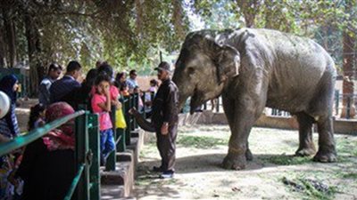 فتح حديقتى الحيوان والأورمان مجاناً للمواطنين أحتفالاً بالعيد القومى لمحافظة الجيزة