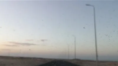 استقرار حالة الطقس بالبحر الأحمر مع رفع درجة الاستعداد تحسبا لتقلبات الجو 