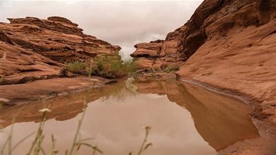 أمطار على مركز بجدة بمنطقة ⁧‫تبوك‬⁩