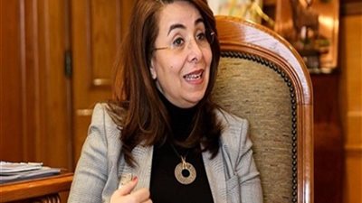 والي تكشف دور وزارة التضامن في خدمة المرأة المصرية