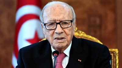 السبسي: نرفض أن تبقى المنطقة العربية مسرحا للتدخلات الإقليمية والدولية