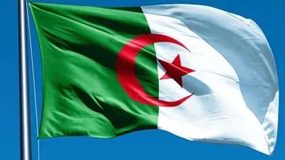 الجزائر: توقيع عريضة مطالبة المجلس الدستوري بتفعيل المادة 102