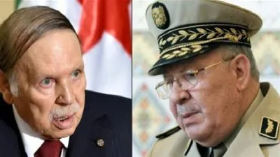 8 معلومات عن المجلس الدستوري الجزائري.. تعرف عليها