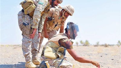 الإمارات منحت أكثر من 5.4 مليار دولار كمساعدة لليمن 